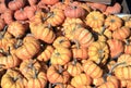 A group of mini pumpkins, orange-white on a market stall