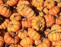 A group of mini pumpkins, orange-white on a market stall Royalty Free Stock Photo