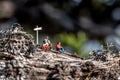 Group of miniature hikers having a break