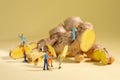 A group of miniature workers slicing and harvesting a ginger root