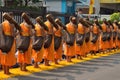 Group of monk buddhist walking on petal marigold line