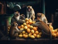 A group of monkeys sitting on top of a pile of oranges. Generative AI image. Royalty Free Stock Photo