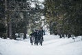 Group of mountain bikers riding on road outdoors in winter. Royalty Free Stock Photo