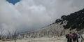 A group of mountain hiker on he dead forest