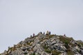 Group of mountaineers and tourists on top of a rocky mountain with moss and lichen under a gray cloudy sky. Royalty Free Stock Photo