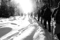 A group of mountaineers walking in the snow