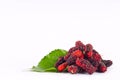 Group of mulberries with aleaves on white background healthy mulberry fruit food isolated Royalty Free Stock Photo