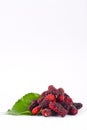 Group of mulberries with aleaves on white background healthy mulberry fruit food isolated Royalty Free Stock Photo