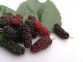 Group of mulberries and green leaf on isolated white background . Mulberry this a fruit and can be eaten. Mulberry is delicious an Royalty Free Stock Photo