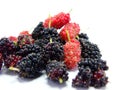 Group of mulberries isolated Royalty Free Stock Photo