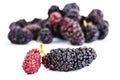 Group of mulberries isolated on a white. Royalty Free Stock Photo