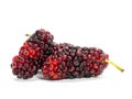 Group of mulberries isolated on white background. Mulberry this a fruit and can be eaten Royalty Free Stock Photo