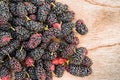 Group of mulberries isolated on wood. Royalty Free Stock Photo