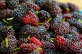 Group of mulberry Royalty Free Stock Photo