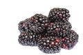 Group of Mulberry Royalty Free Stock Photo