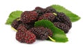 Group of mulberry with leafs Royalty Free Stock Photo