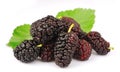 Group of mulberry with leafs Royalty Free Stock Photo