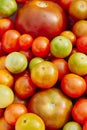 Group of multicolored cherry tomatoes