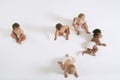 Group Of Multiethnic Babies Royalty Free Stock Photo