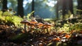 A group of mushrooms in a forest. Generative AI.