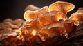 A group of mushrooms growing on a tree branch in the dark, AI