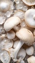 a group of mushrooms sitting on top of a table covered in water drops of water on top of it\'s surfac