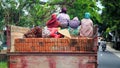 Group of muslim women travelling on a truck in a city in Indonesia, Lombok