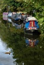 A group of narrow boats moored on the River Stort.