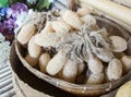 Group of Natural Luff Sponges in Traditional Rattan Basket made from Dry Zucchini use for for Spa Accessories to Scrub Body Skin