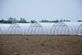 group of new greenhouses that serve to make the vegetables grow Royalty Free Stock Photo