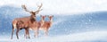 Group of noble deer in the snow. Christmas artistic image. Winter wonderland. Banner format.