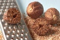 A group of nutmeg nuts and a metal grater on a background of a light blue table with grated nutmeg powder Royalty Free Stock Photo