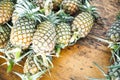 Pineapples on table,so sweet.Group of objects fruit. Royalty Free Stock Photo