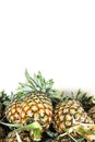 Pineapples on table. White Background. Royalty Free Stock Photo