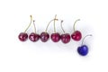 Red cherries in a row on a white background, one cherry ultra violet, stands out, the other. Royalty Free Stock Photo