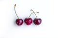 Three juicy red cherries in a row with water droplets on white background Royalty Free Stock Photo