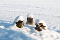 A group of old marking stones in a snowy field Royalty Free Stock Photo