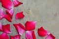Group of rose petals on stone floor Royalty Free Stock Photo