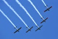 Group of old timer planes Royalty Free Stock Photo