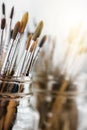 Group of old used paintbrushes with clean background. Royalty Free Stock Photo