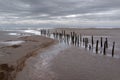 Group of old wood posts in Mersehead Sands, Dumfries and Galloway, Scotland