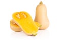 Smooth pear shaped orange butternut squash waltham isolated on white Royalty Free Stock Photo