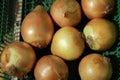 an group onion on green basket