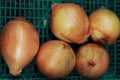 an group onion on green basket