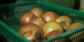 an group onion on green basket