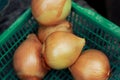 an group onion on green basket on wooden table