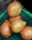 an group onion on green basket on table