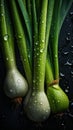 a group of onions and onions with water droplets on them on a black surface with a brown string tied to them with a brown string