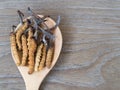 Group of Ophiocordyceps sinensis or mushroom cordyceps this is a herbs placed on wooden spoon on wooden background. on wooden tabl Royalty Free Stock Photo