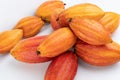 Group of orange color fresh cacao fruits